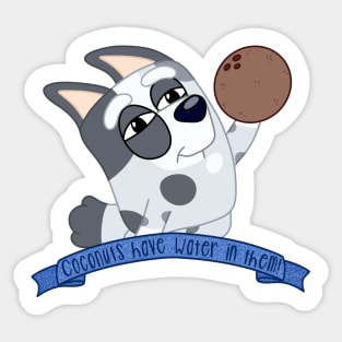 Coconuts have water in them! Sticker